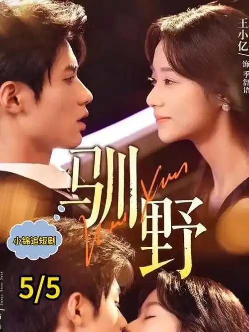 沉默的证词剧集在线视频